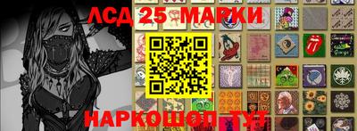крисы Новодвинск