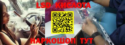 крисы Новодвинск