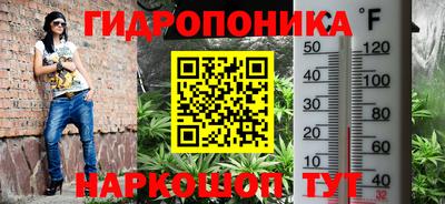 крисы Новодвинск