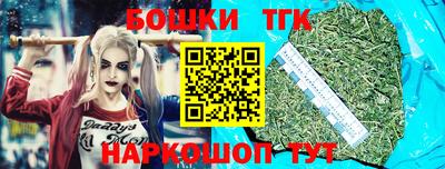 крисы Новодвинск