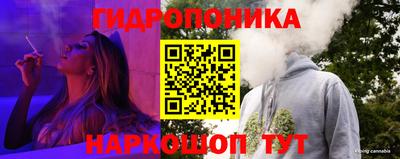 СК Новозыбков