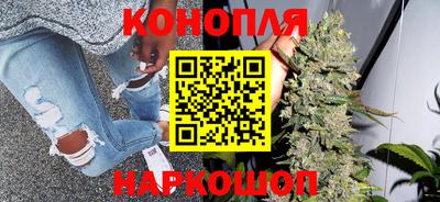 крисы Новодвинск