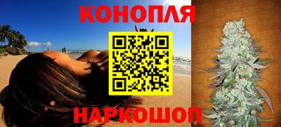 СК Новозыбков