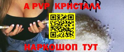 СК Новозыбков