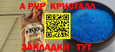 крисы Новодвинск