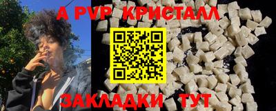 СК Новозыбков