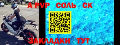 крисы Новодвинск