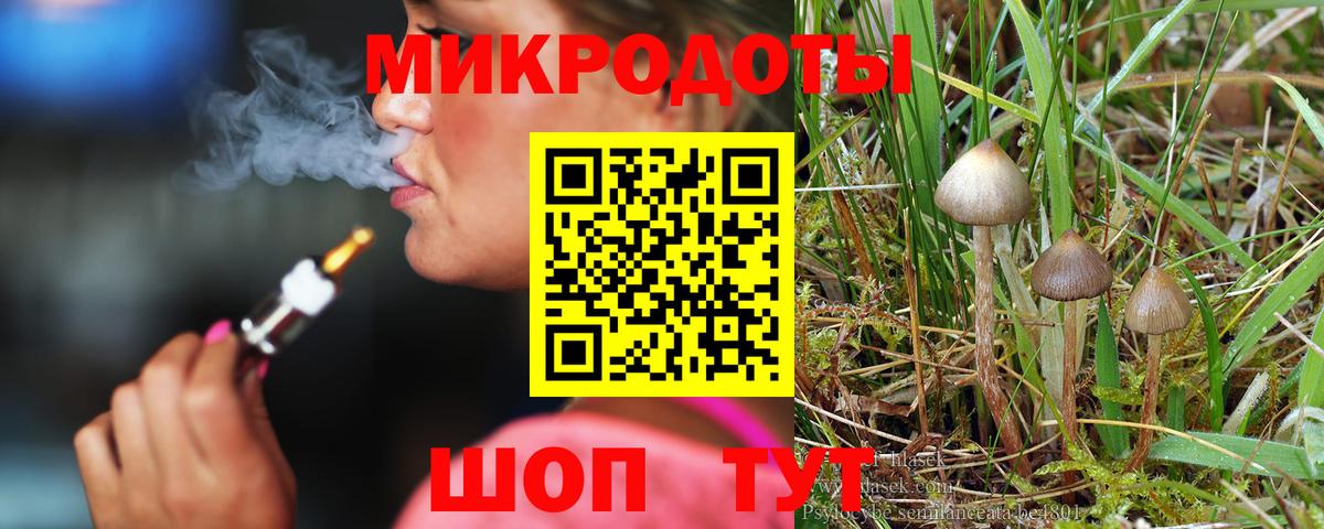 Ртищево  Галлюциногенные грибы мухоморы  Вход с VPN 